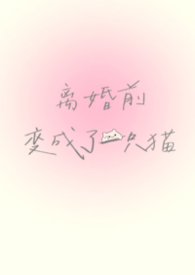 离婚前变成了一只猫（1V1）